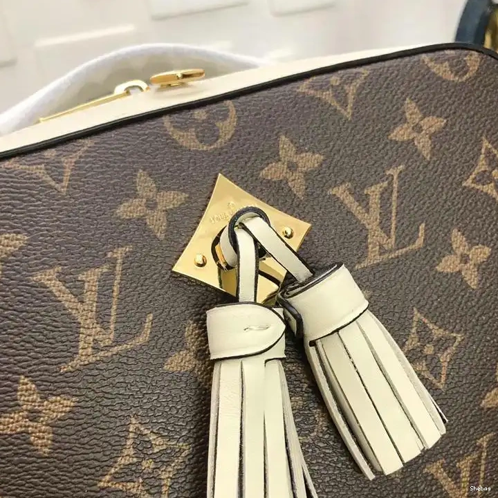 Bags LV 19T1L0068 0802